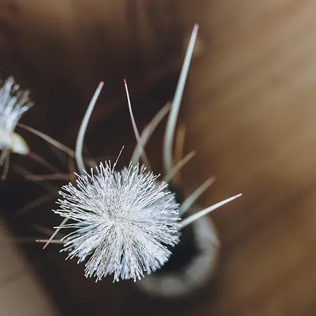 Apartment By We Rent Zell am See